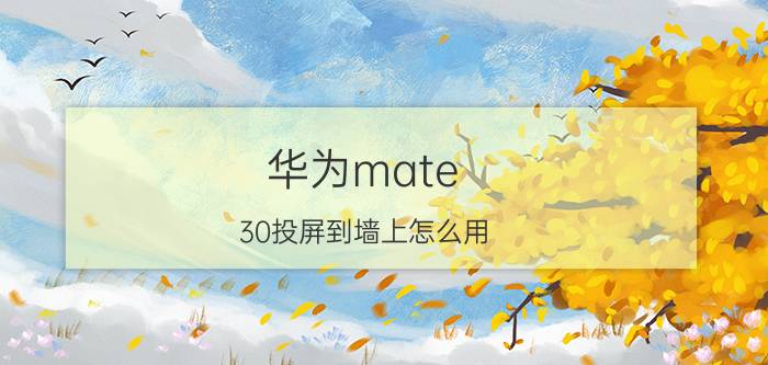 华为mate 30投屏到墙上怎么用